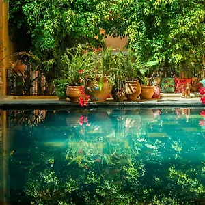 Roxanne Marrakesh